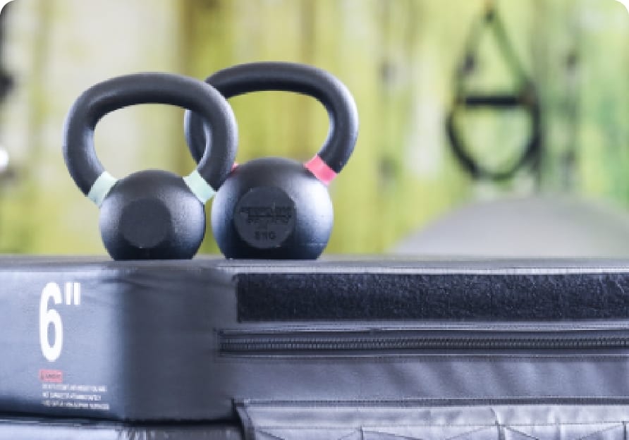 physioline kursangebote